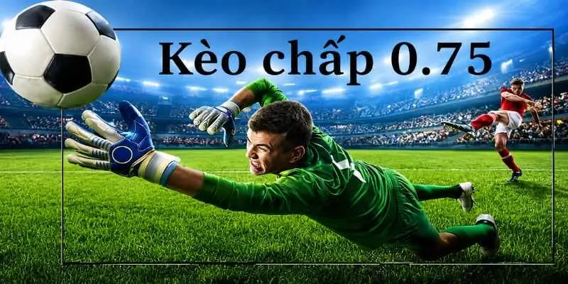 keo-chap-0-75
